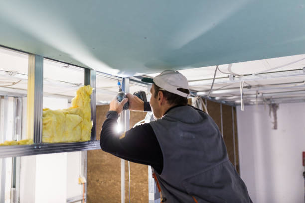 Best Cellulose Insulation in Ponchatou, LA