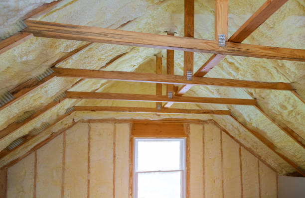 Best Eco-Friendly Insulation in Ponchatou, LA