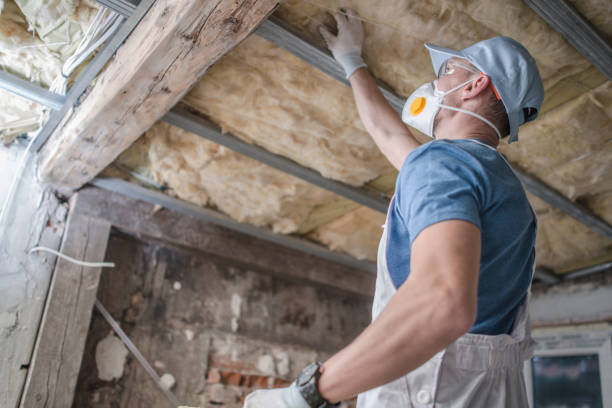 Professional Insulation Contractor in Ponchatoula, LA
