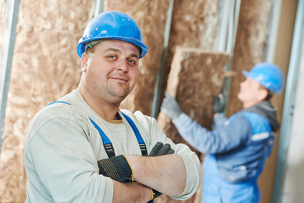 Best Energy Efficiency Insulation in Ponchatou, LA