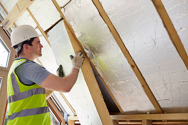 Best Geographic-Specific Insulation Services in Ponchatou, LA