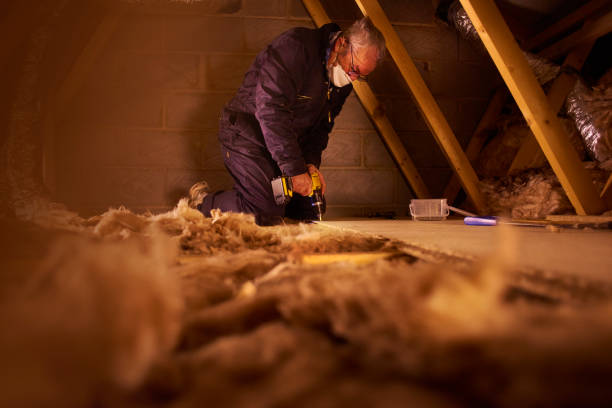 Best Cellulose Insulation in Ponchatou, LA
